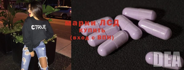 индика Карпинск