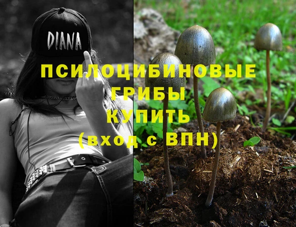трава Зерноград