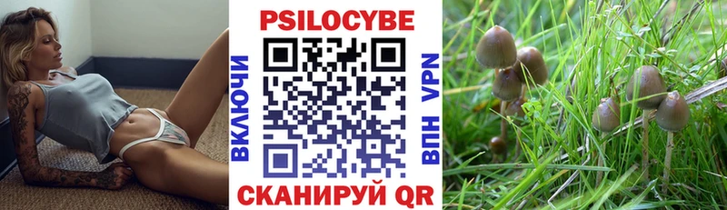 Галлюциногенные грибы Psilocybine cubensis  Купить  Каменка 